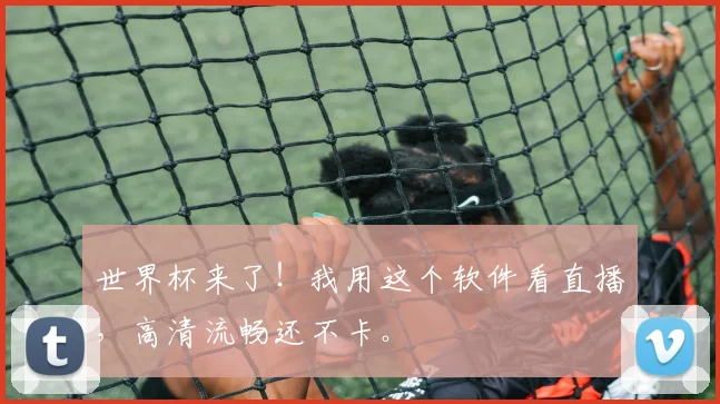 世界杯来了!我用这个软件看直播,高清流畅还不卡。