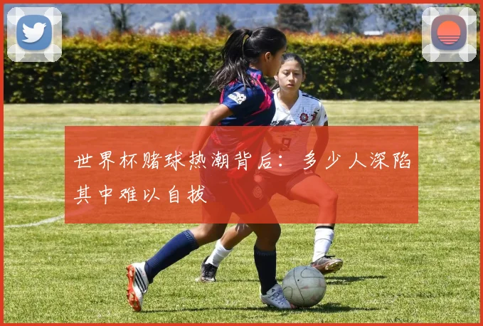 世界杯赌球热潮背后:多少人深陷其中难以自拔