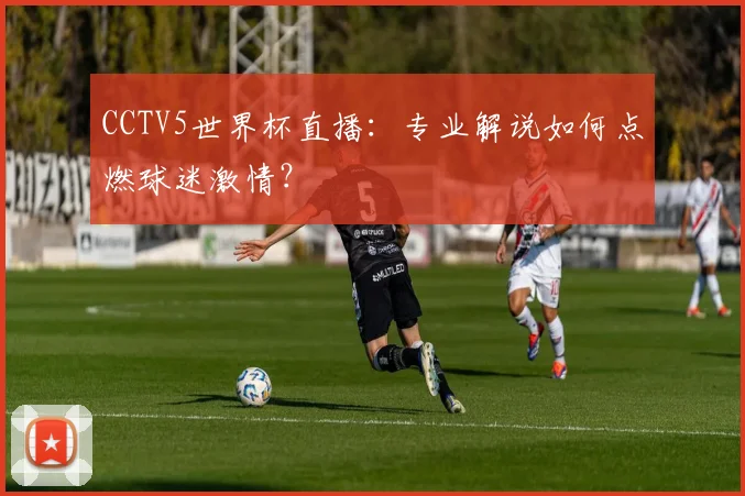 CCTV5世界杯直播:专业解说如何点燃球迷激情?