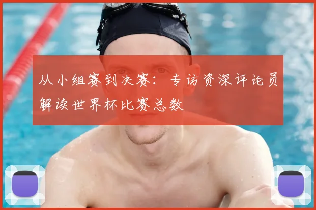 从小组赛到决赛：专访资深评论员解读世界杯比赛总数