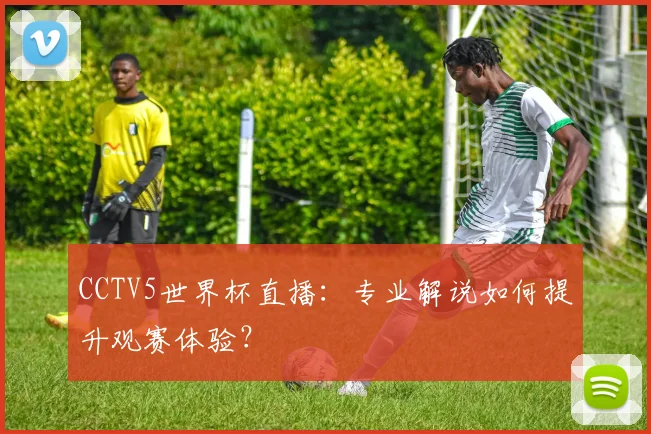 CCTV5世界杯直播：专业解说如何提升观赛体验？