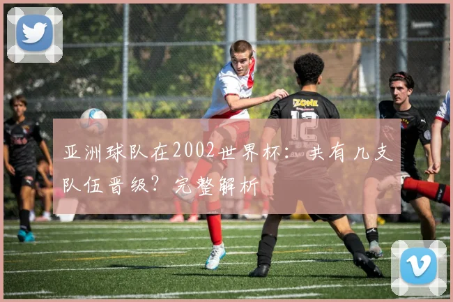 亚洲球队在2002世界杯:共有几支队伍晋级?完整解析
