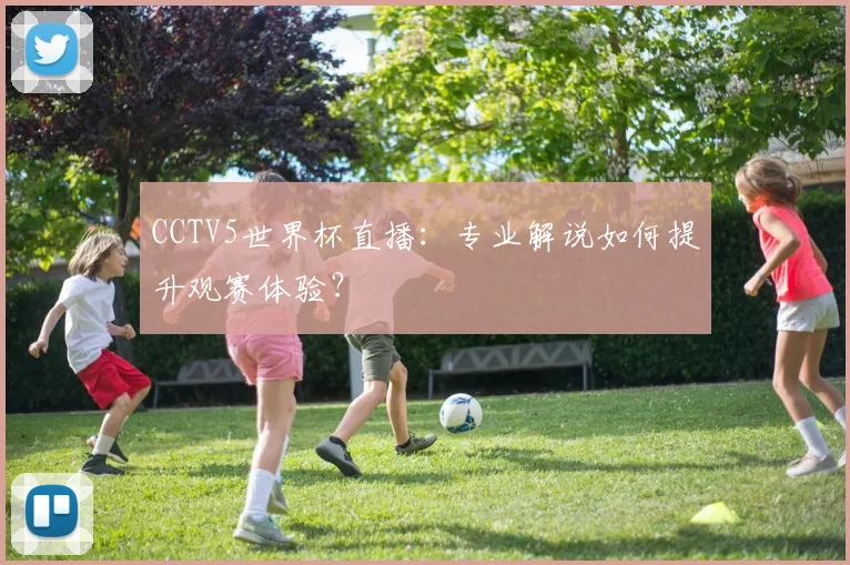 CCTV5世界杯直播:专业解说如何提升观赛体验?