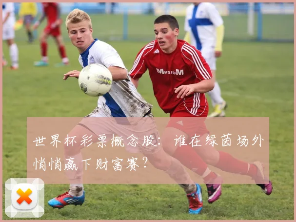 世界杯彩票概念股:谁在绿茵场外悄悄赢下财富赛?