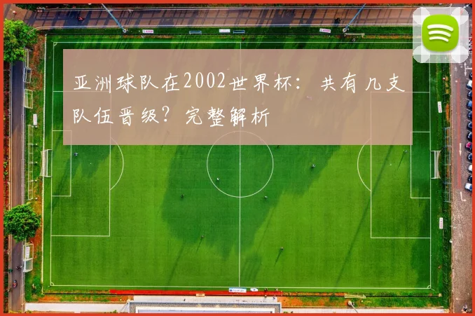 亚洲球队在2002世界杯：共有几支队伍晋级？完整解析