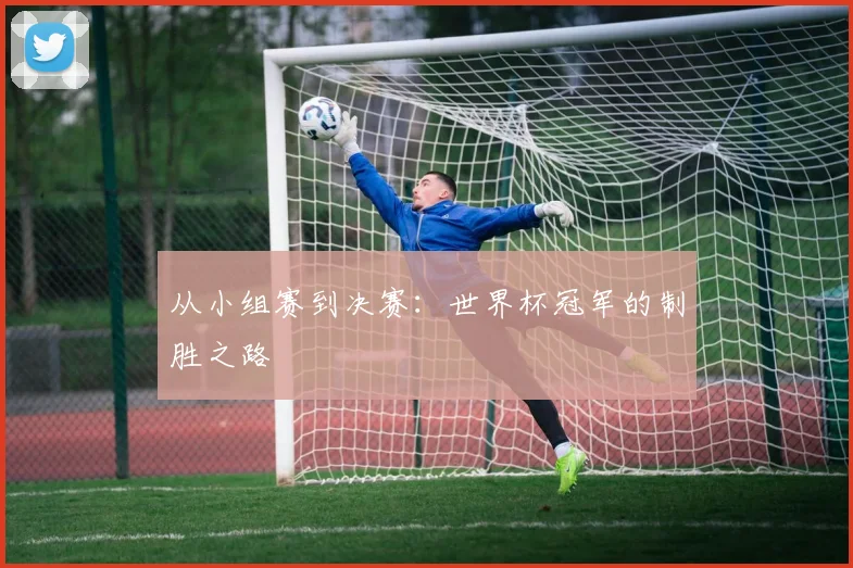 从小组赛到决赛：世界杯冠军的制胜之路